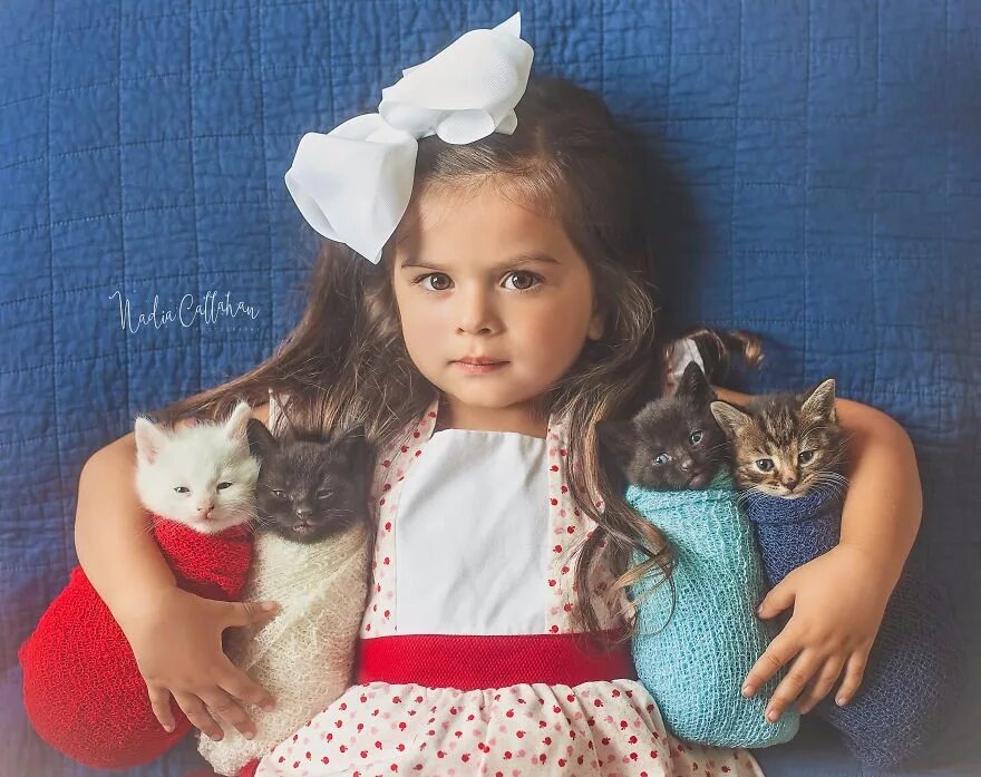 Девушка с котенком. Маленькая девочка с маленьким серым котом. Девочка с котятами. Маленькая девочка с кошкой. Котёнок-ребёнок.