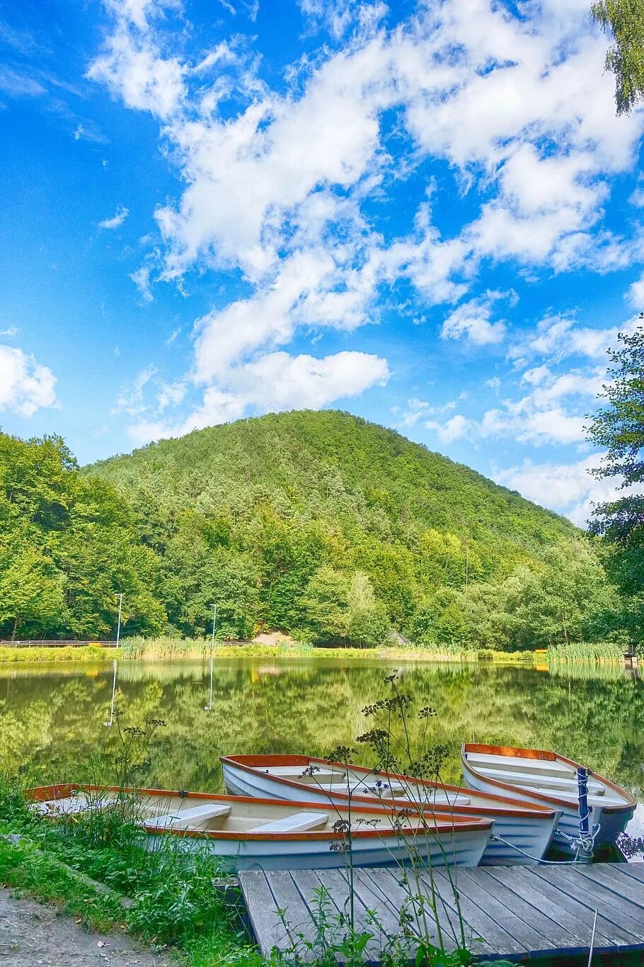 Interest in nature. Земплен Венгрия природа. Ландшафт Венгрии. Венгрия природа горы. Венгрия летом.