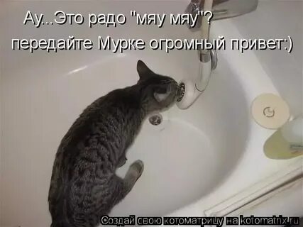 Алло да это пакистан