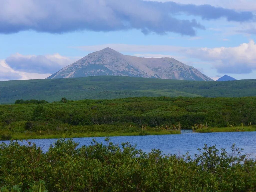 Оссора поселок Камчатка. Остров Оссора Камчатка. Камчатский край, Карагинский район, Оссора поселок,. Петропавловск Камчатский Оссора. Была острая край