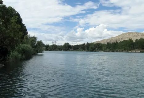 Впадающая в куру