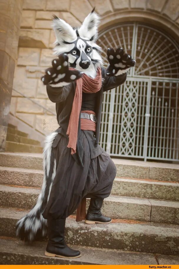 фурсьют снежный барс. фурсьют фенек. фурсьют хаски волк. фурсьют тигра. фурсьют лиса.