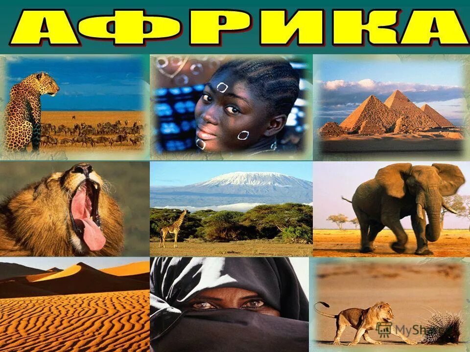 знойная африка. марула намибия. африка пустыня саванна джунгли. намиб пустыни африки. знойная африка.