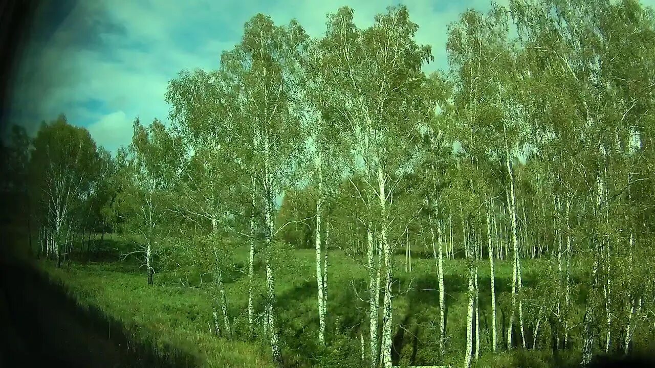 Электрички давыдовка березовая роща сегодня