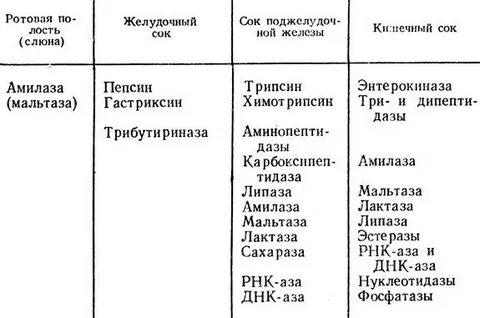 Ферменты пищеварительных соков