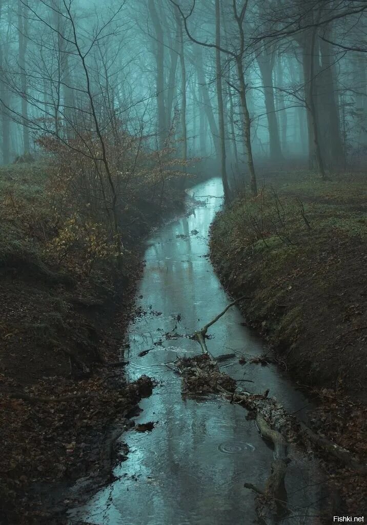 Мистическая река. Страшная река. мрачная река. река в лесу мистика. жуткая природа.