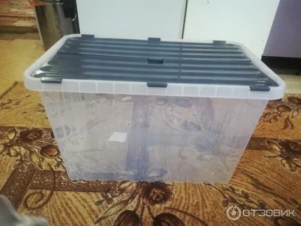 Светофор ящик пластиковый. Контейнер 90л пластиковый. Светофор контейнеры для хранения с крышкой. Магазин светофор ящик. Ящик с крышкой створками 17л и 53л лмр пласт.