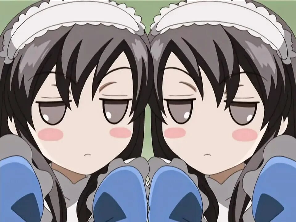 Twins animation