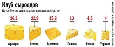 Сколько живет сыр