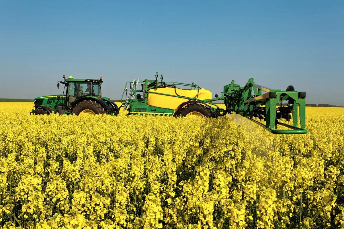 т-150 трактор силос. трактор дискование. милославское рязанская сельское хозяйство. дисковка поля мтз 82. сельское хозяйство европейского юга россии.