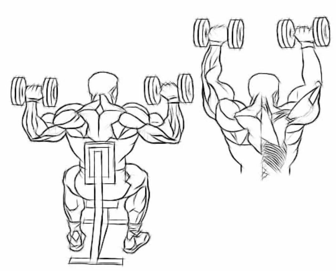 Гантели вверх сидя. Плечи - жим гантелей стоя (армейский жим). Поочередный жим гантелей сидя. Жим гантелей вверх сидя.