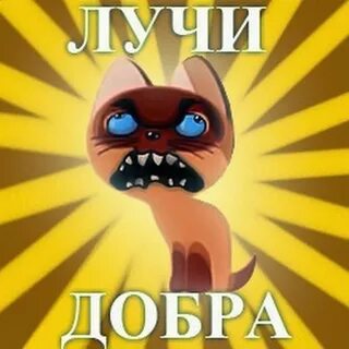 Посылаю лучи