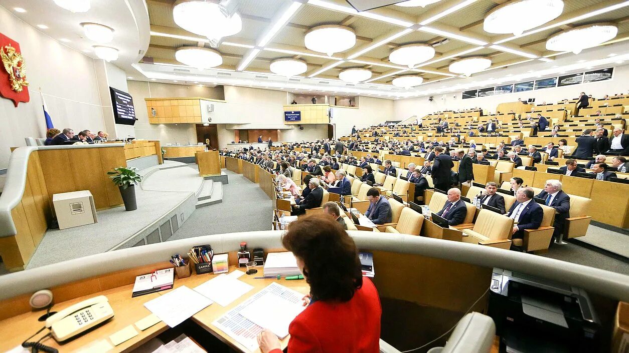 депутат карикатура. обсуждение законопроекта в государственной думе. депутаты госдумы. заседание совета безопасности рф 4 октября 2022. сухоручкина елена юрьевна саратов.