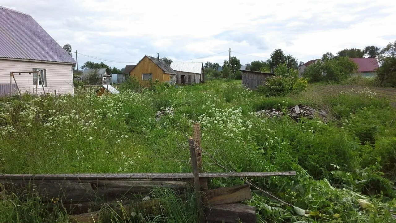 Кроминская вологодская область деревня. Новая ягница. Погода конечное череповецкий. Деревня конечная череповец. Погода конечное череповецкий.