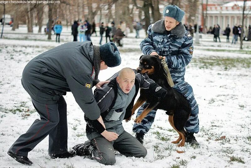 Работница полиции на месте преступления