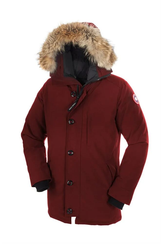 Парка canada goose emory. Куртка canada goose hybridge lite. Canada goose пуховики. Canada goose короткий пуховик. Зимняя куртка canada goose.