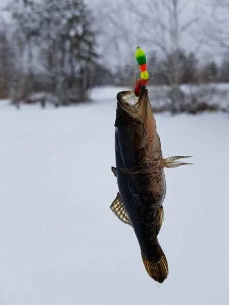 Мормышка на ротана. Мормышка на карася. Мормышки для зимней рыбалки на ротана. Мормышка на ротана зимой. Лучшие мормышки на ротана.