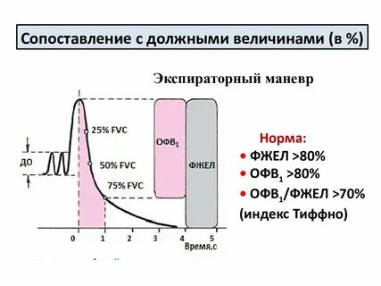 Фжел норма