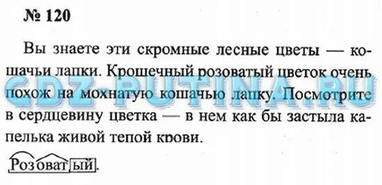 Русский язык 3 класс 2 часть стр 120. Русский язык 3 класс упражнение 120. Готовые домашние задания 3 класс Канакина упражнение 120.