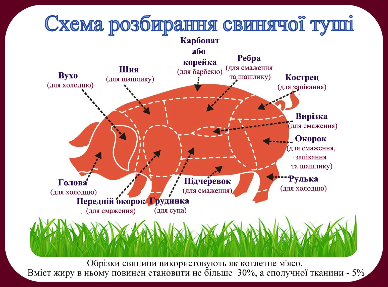 Карбонат какая часть свинины. Части свинины. Части свиной туши схема. Части туши свинины схема. Части свиньи.