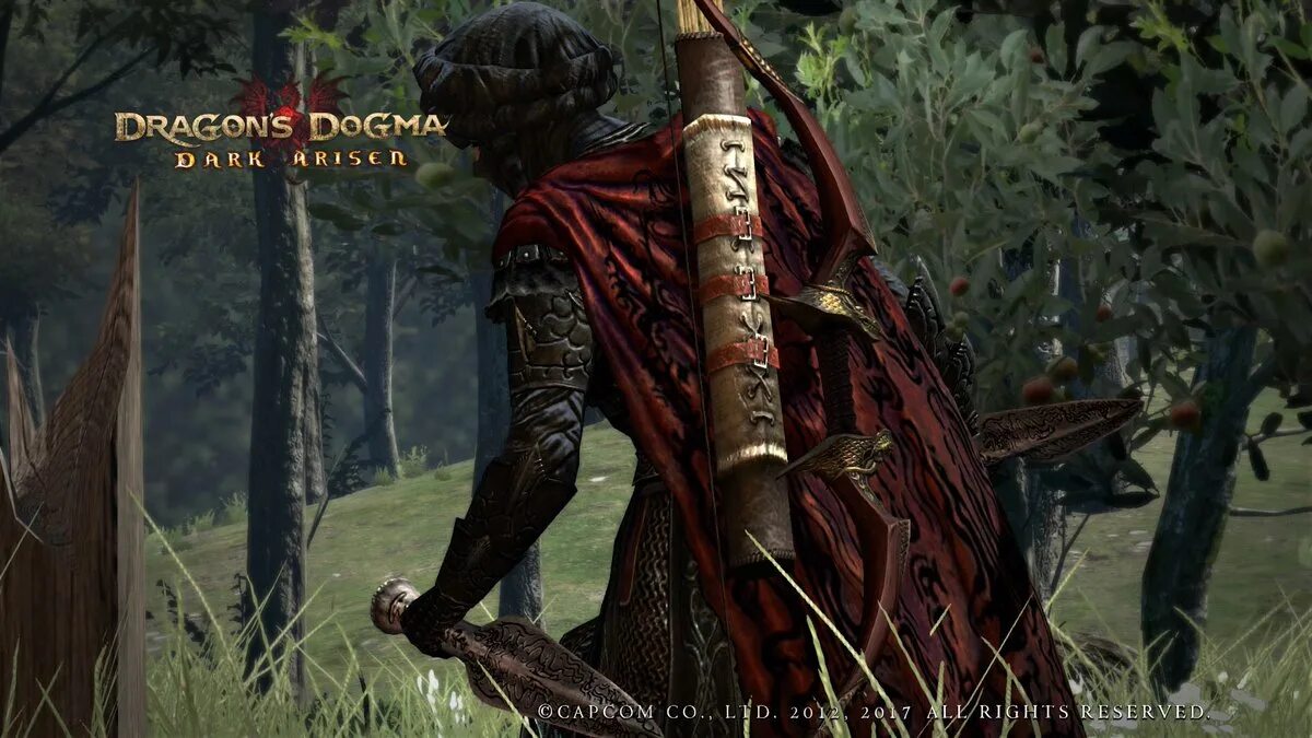 Dragon s dogma 2 магический лучник. Dragon's Dogma Dark Arisen Armor. Dragon's Dogma Ожившие доспехи. Dragon's Dogma Dark Arisen броня. Dragons Dogma 1.