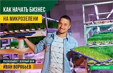 Зеленый шеф