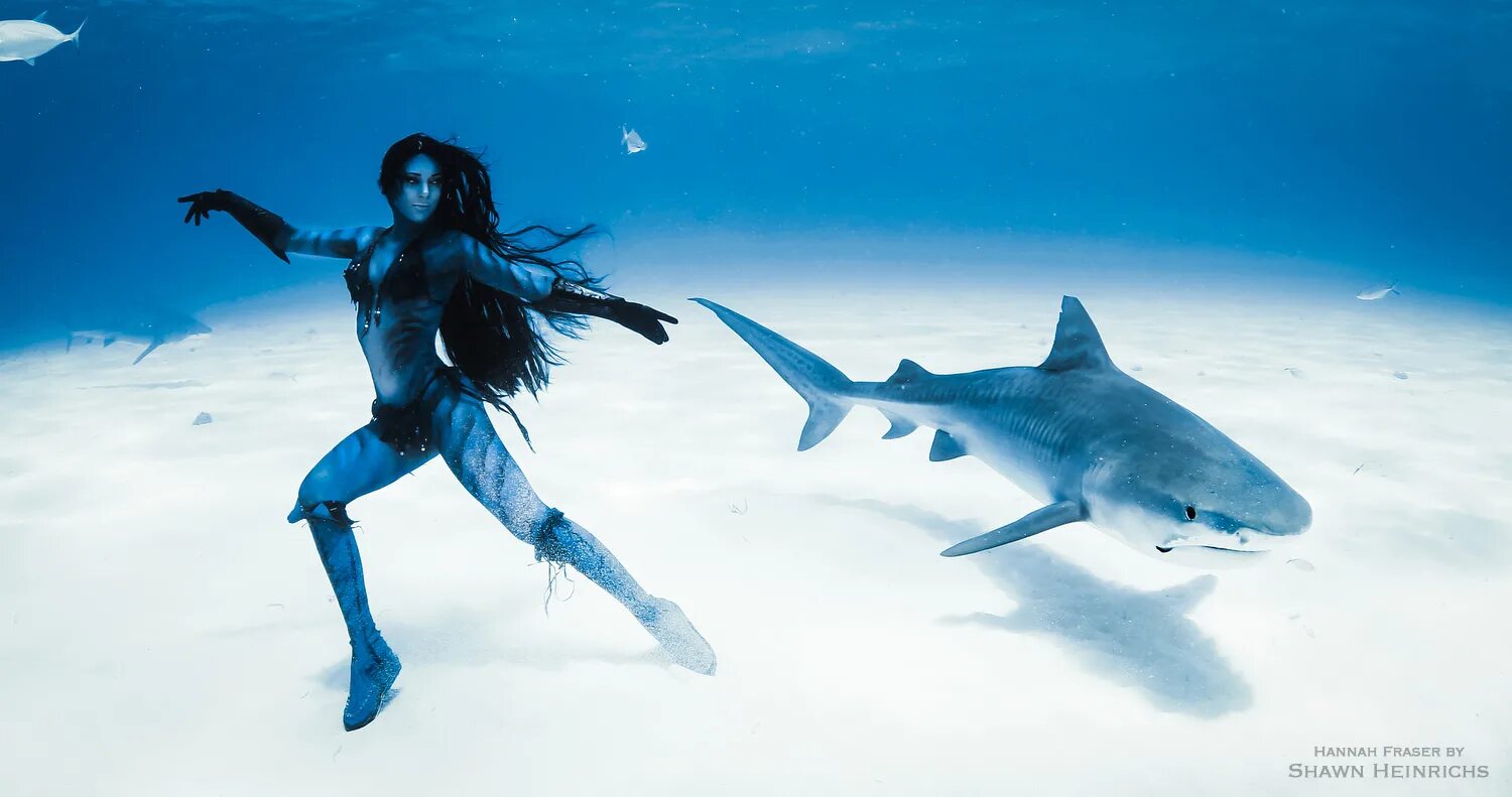Акула и русалка. Hannah fraser. ханна фрейзер mermaid. русалка акула. hannah fraser model.
