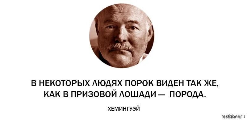 Когда россия вздохнула по новому. Хемингуэй цитаты. Высказывания Эрнеста Хемингуэя. Афоризмы Хемингуэя. Афоризмы Эрнеста Хемингуэя.