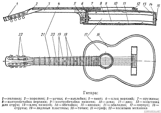 Полный разбор гитары. Чертеж порожка классической гитары. Строение акустической гитары схема. Строение гитары 6-ти струнной электрогитары. Структура гитары акустика.
