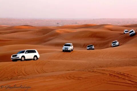 Dubai Desert Safari Tours