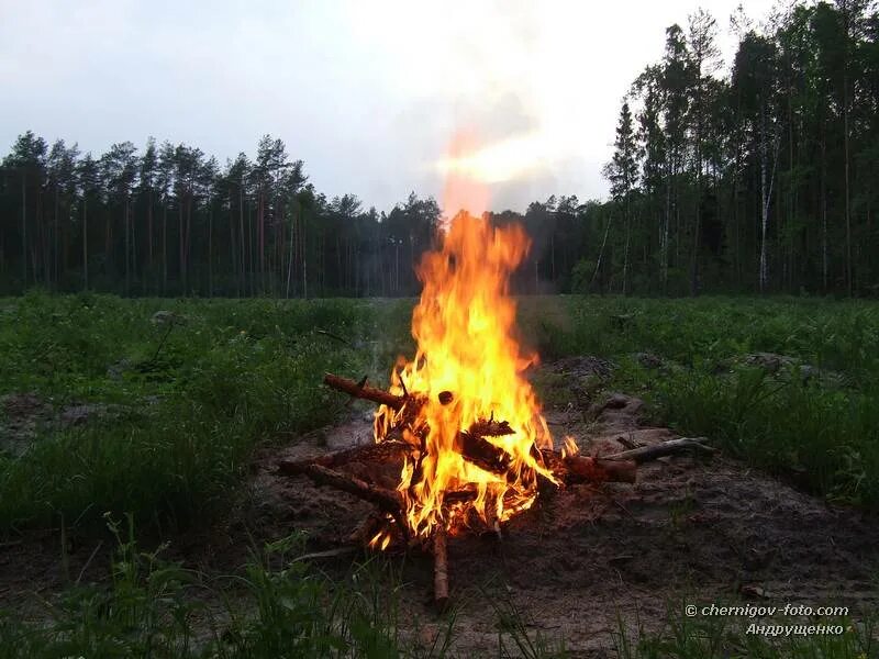 Лесные пожары в Удмуртии. Непотушенный костер. Поляна в огне. Незагашенные костры.