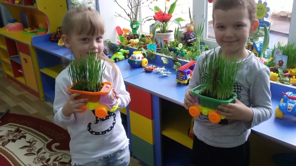 Сад 5 солнышко. Солнышко. Город михайловка волгоградская область садик солнышко. Детский сад 5 солнышко владимир. Наш дом природа н.