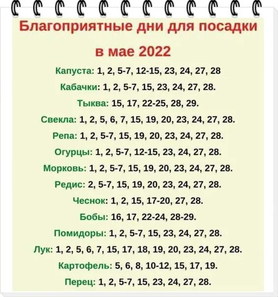 Дни для посадки в мае 2025. Благоприятные дни для посадки. благоприятные дни для посадки в мае. благоприятные дни для посева посадки. благоприятные дни для посадки в мая 2025 год.