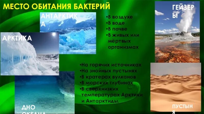 Места обитания микроорганизмов. Местообитание бактерий. Среда обитания и распространенность бактерий. Среда обитания микроорганизмов. Местообитание бактерий.