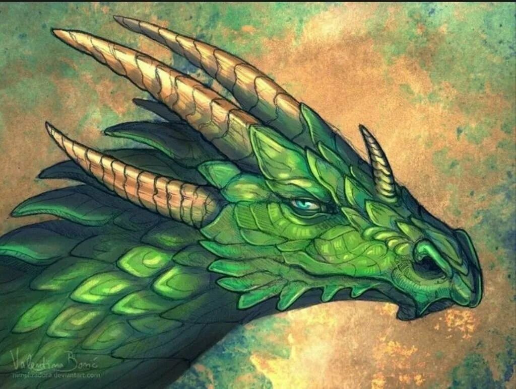 Рисунок зеленого деревянного дракона. Изумрудный дракон. Зелёный дракон. Красивый зеленый дракон. Зеленый дракон арт.