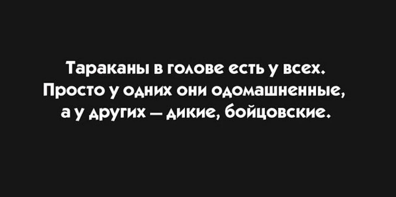 Отсутствие тараканов в голове 11 букв