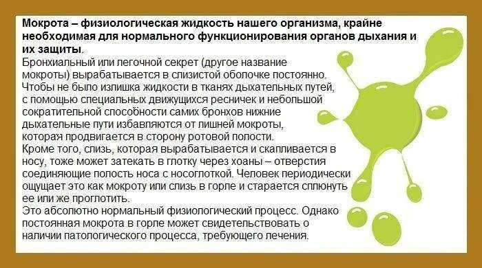 Почему мокрота в горле. Каизбавится.,от.мокроты.. слизистая мокрота в горле. как избавиться тт макроты. вывод мокроты детям.