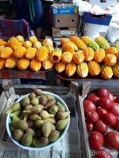 Какие фрукты можно привезти