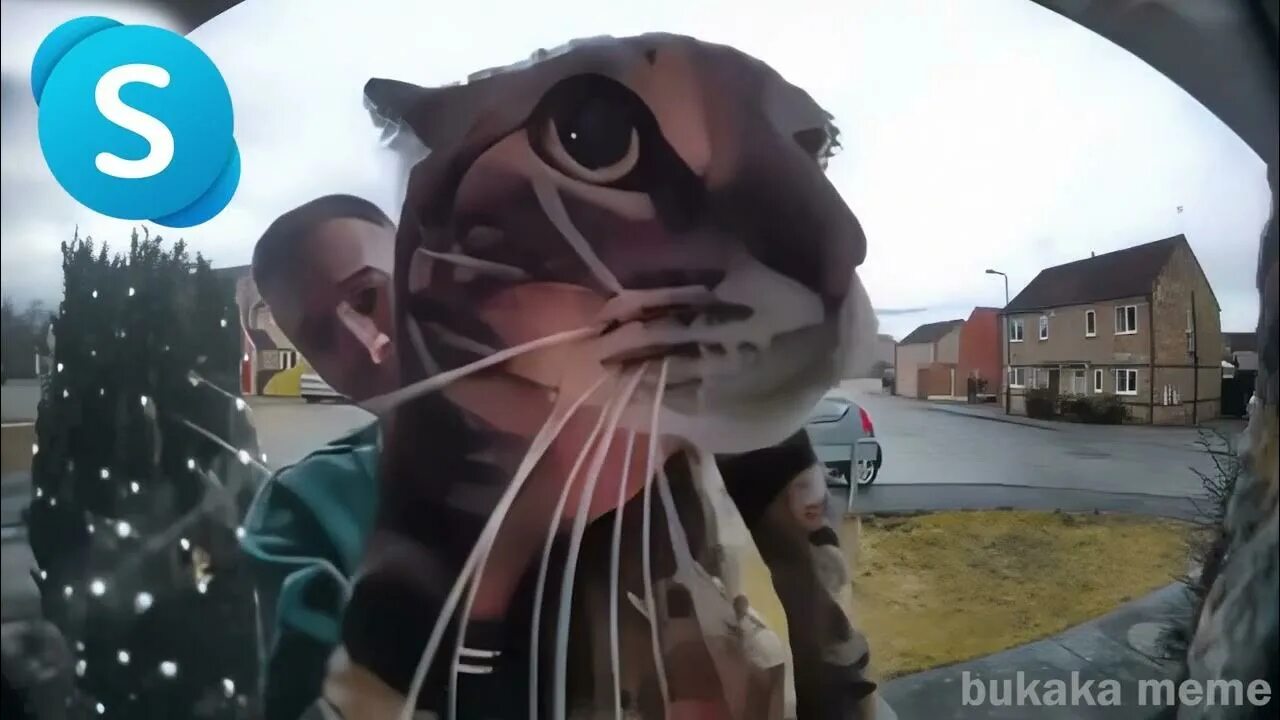 Кот с камерой. Кот мяукнул. Орущий кот. Meow camera