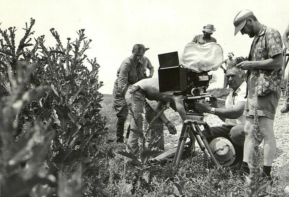 бондарчук на съемках фильма они сражались за родину. они сражались за родину фильм 1975. они сражались за родину фильм 1975. они сражались за родину съемки. юрий никулин они сражались за родину.