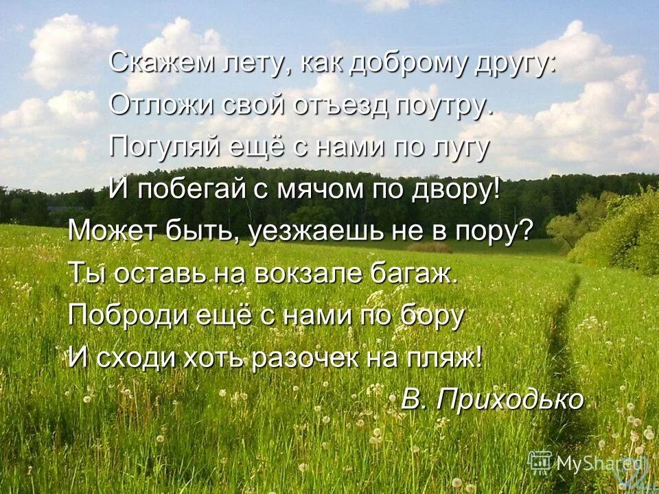 Ни лето кореша. Вот и лето прошло текст. Скажи лето. Лето ещё с нами. Как проходило наше лето.