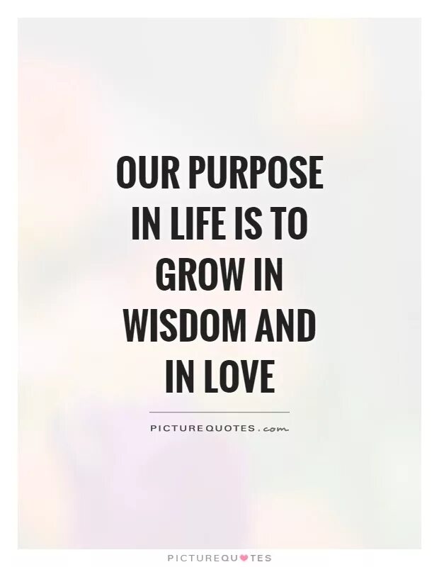 Purpose of life is. Purpose quotes. Purpose in Life. Our purpose. Life purpose quotes.