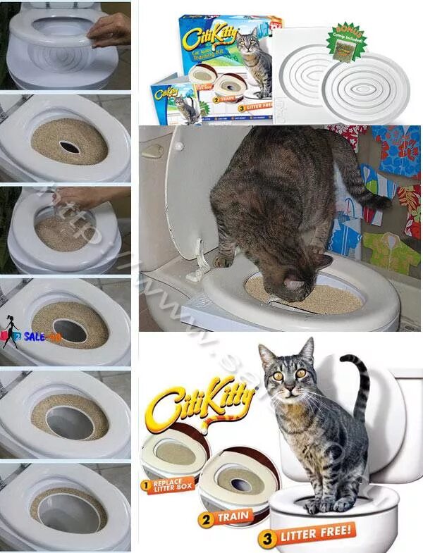 Как приучить кота кошку. Пр учение кота к унитаз. приучитьикота к унитазу. лоток для приучения кошек к унитазу.