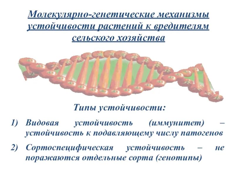 Механизмы устойчивости растений. Молекулярно-генетические механизмы. Иммунная устойчивость растений. Механизмы резистентности растений. Наследственно устойчивый