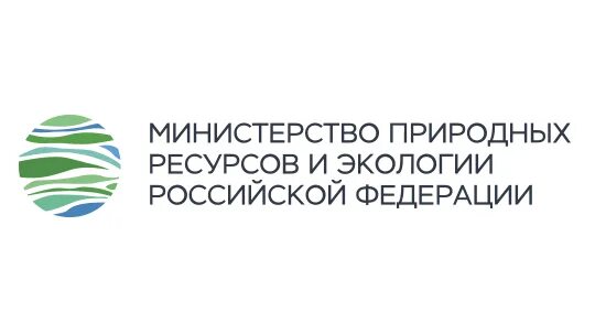 Министерство природных ресурсов фото Минприроды России разработало методику для учёта диких кабанов в целях предупреж