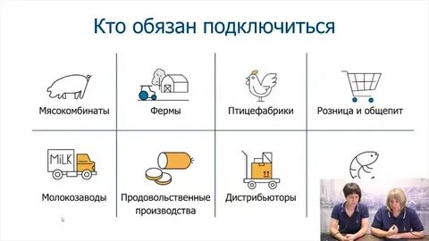 Сбис меркурий