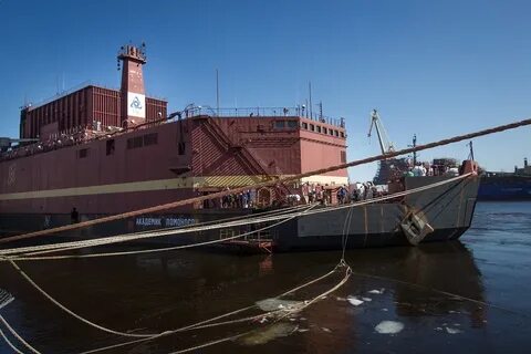 Балтийский ломоносов