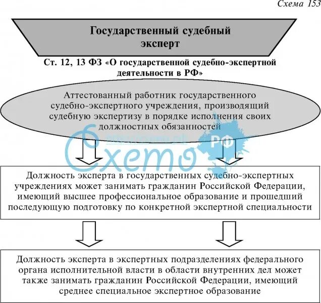 Правовое положение эксперта. Правовой статус судебного эксперта. Судебный эксперт это таблица.