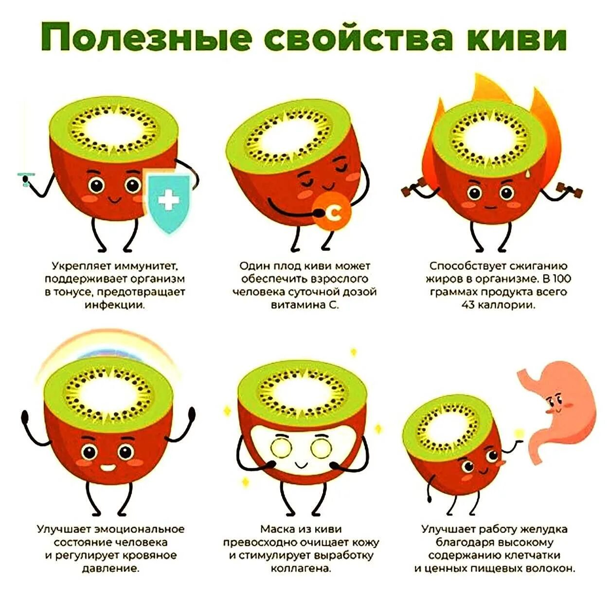 Витамины содержащиеся в киви. Чем полезен киви. чем полезен киви для организма. киви польза. киви полезные свойства.