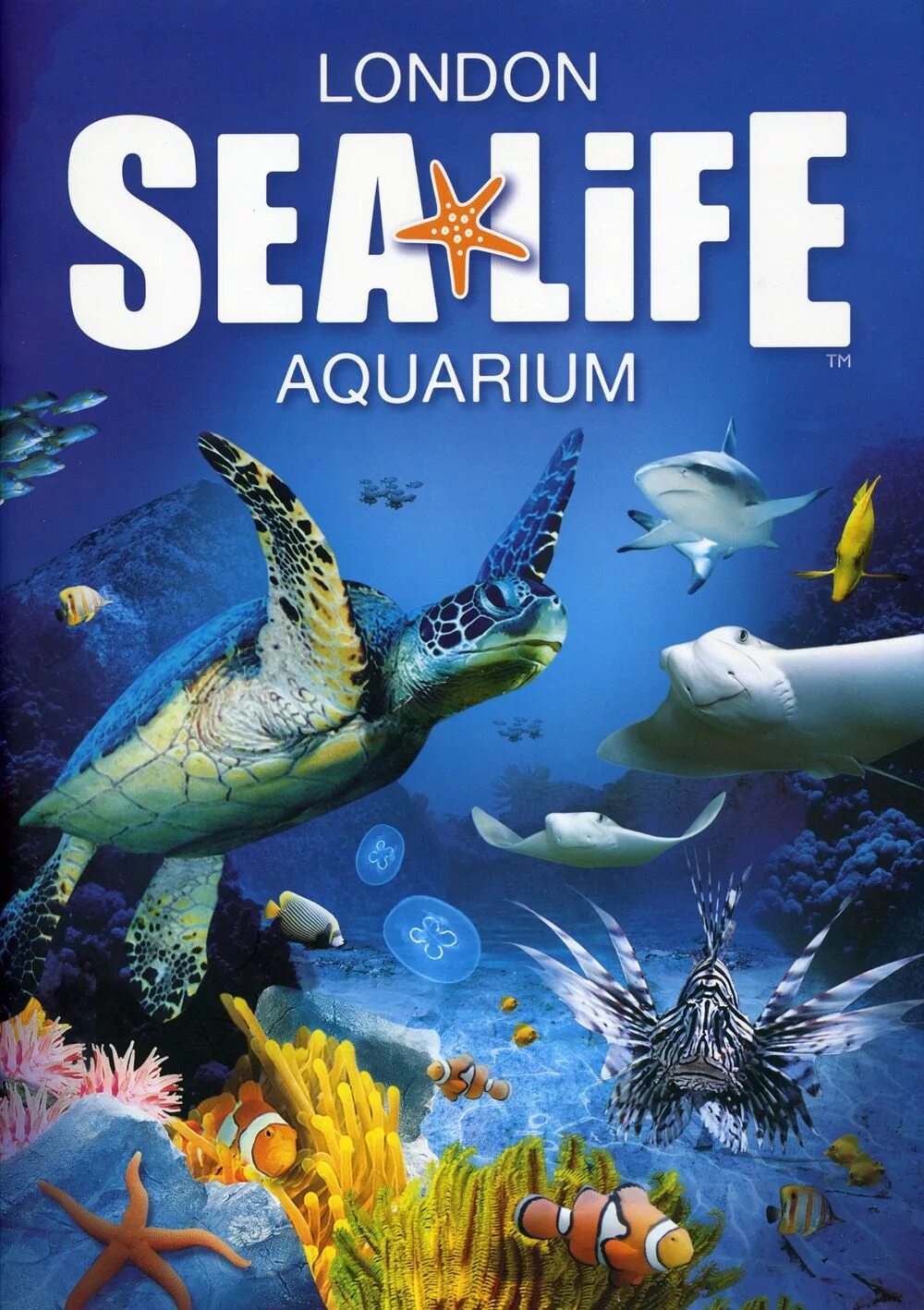 Sea life sanctuary. «центре морской жизни». Аквариум (мельбурн). Аквариум sea life ганновер. Хельсинки аквариум sealife.